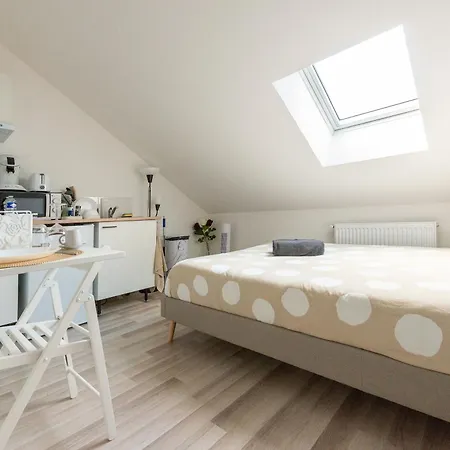 Everman Appartement Anzin