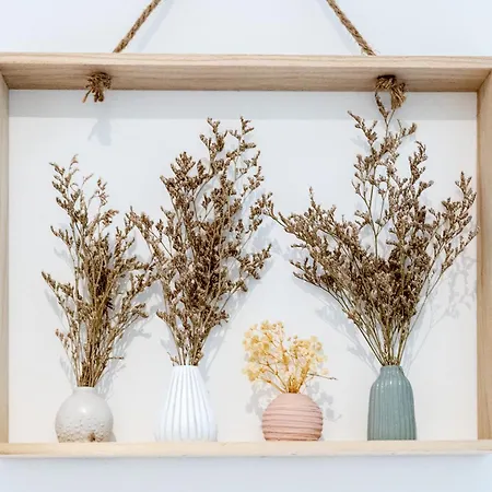 Everman Apartamento Anzin