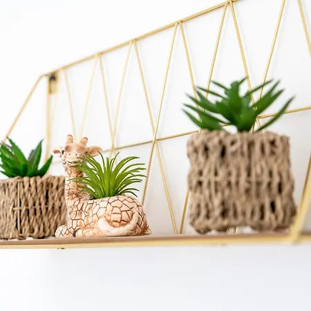 Apartamento Everman Anzin